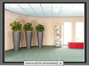 hal partner supers met lyratha
